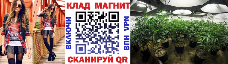 Продажа наркотиков Лихославль A-PVP ГАШ Бошки Шишки