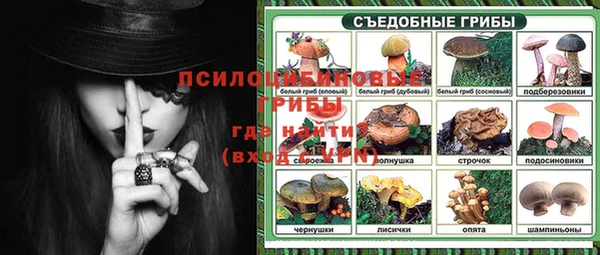 СК Алексеевка