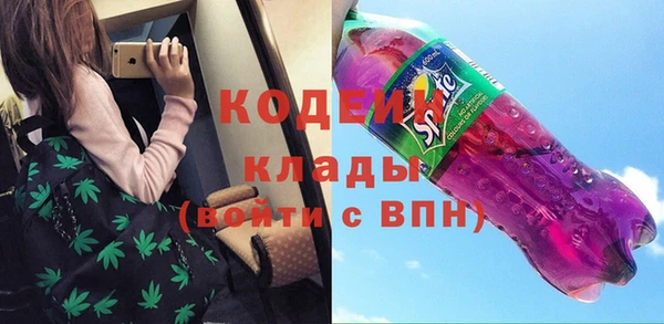 хмурый Алзамай