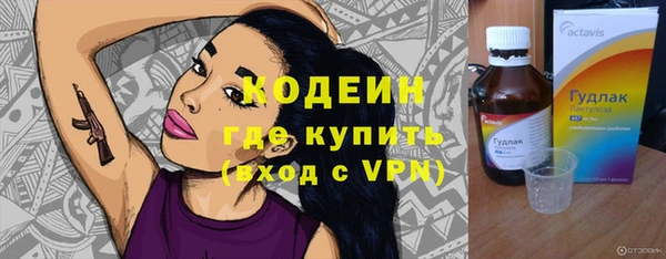 хмурый Алзамай