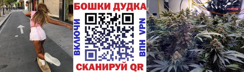 блэк спрут как войти  Лихославль  Конопля Bruce Banner 